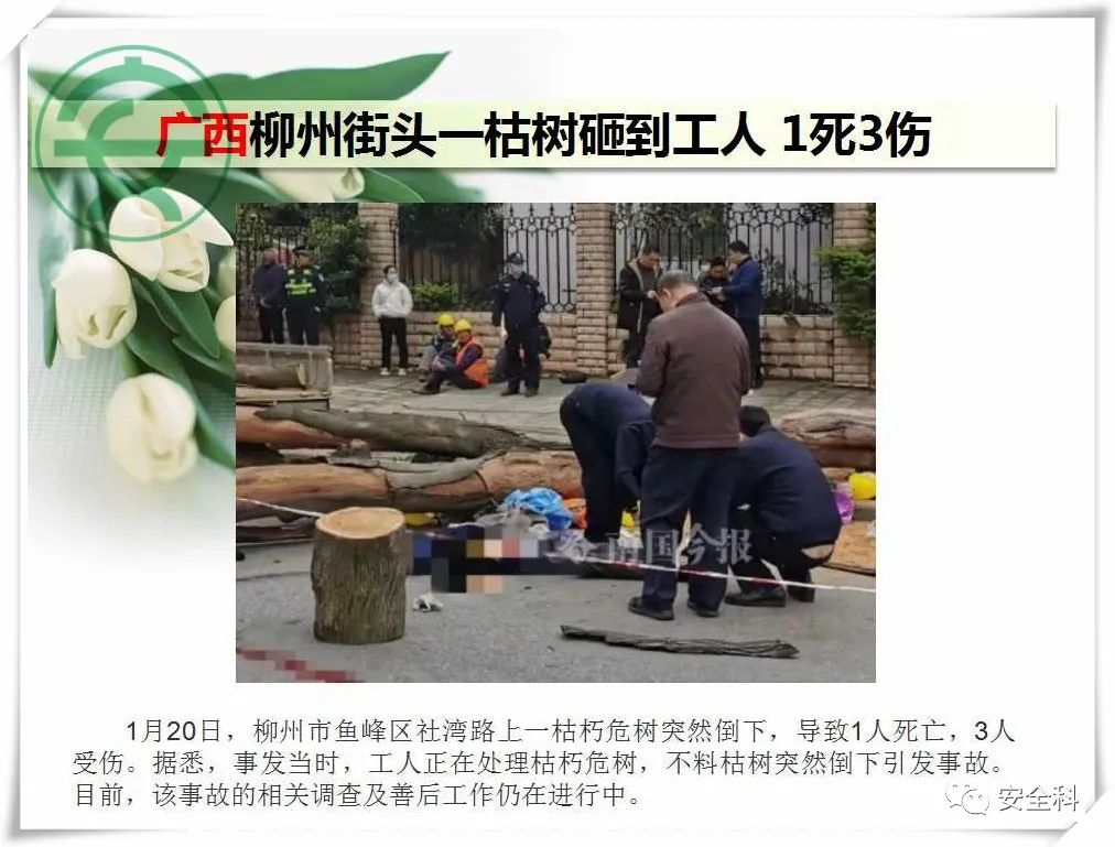 微信图片_20220124084608.jpg