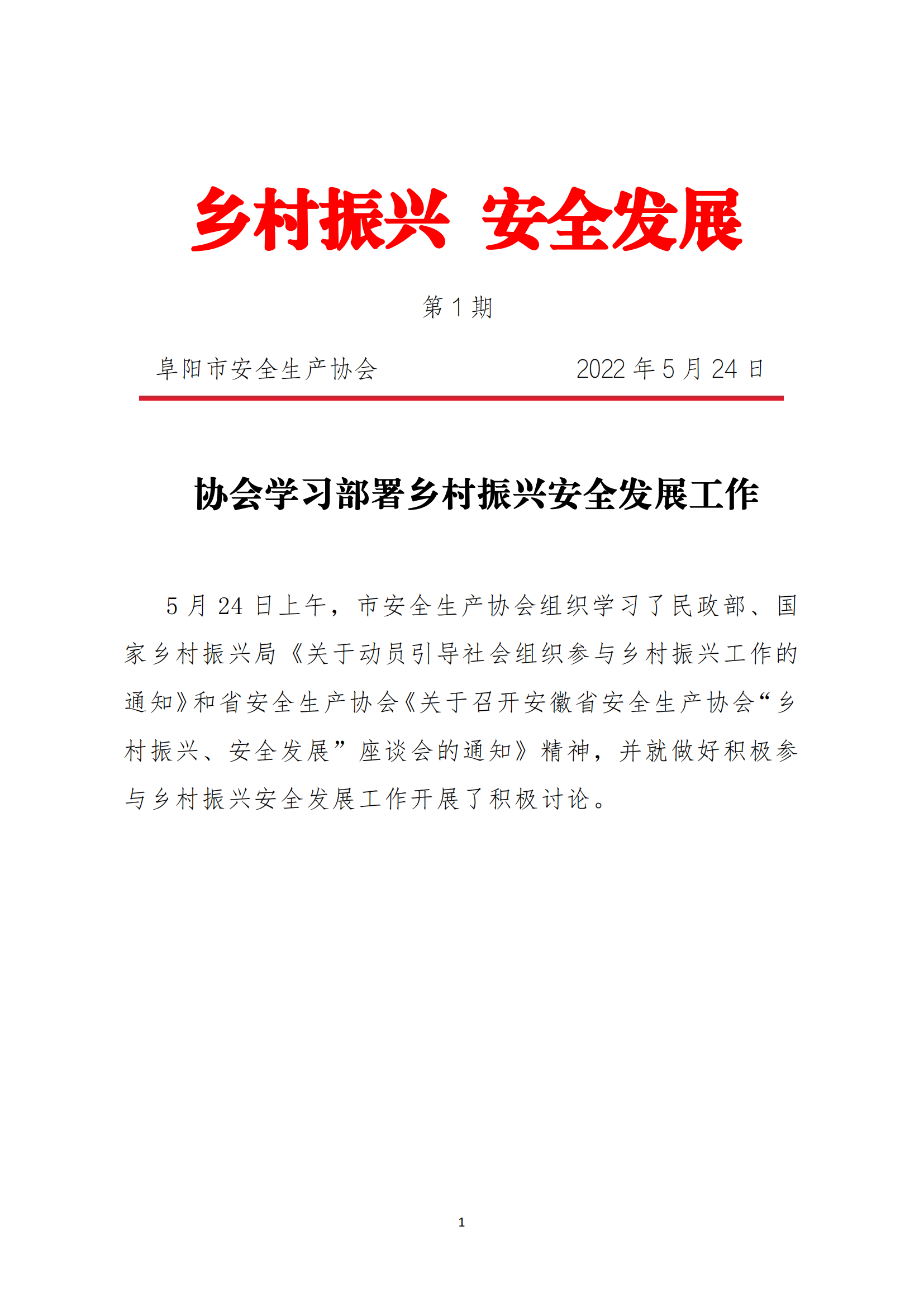 乡村振兴安全发展简报第1期_00.png