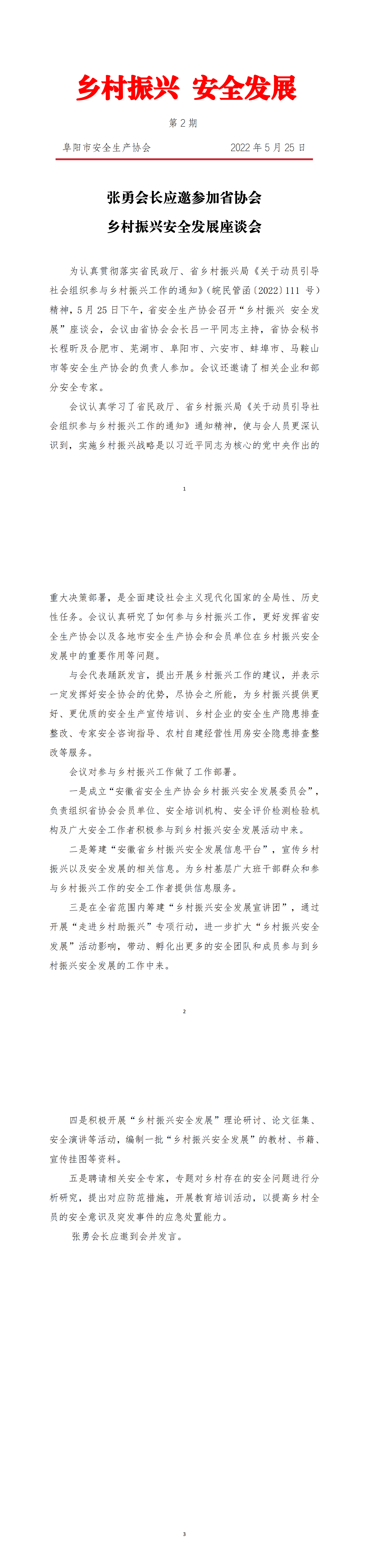乡村振兴安全发展简报第2期_00.png