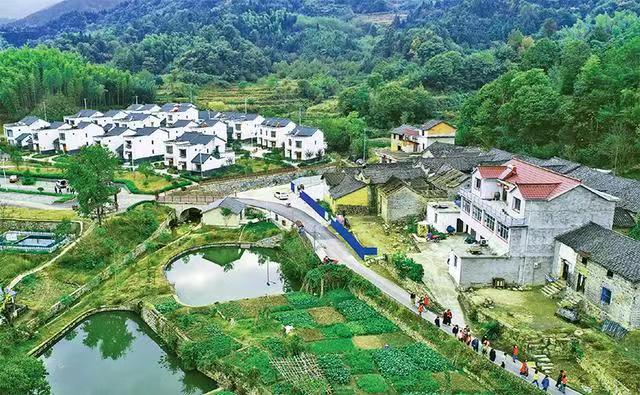 710公海线路检测组织开展乡村振兴安全发展主题活动(图2) ed576c90d50ebb88a37cdc995570eda.jpg