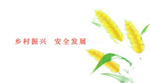 710公海线路检测组织开展乡村振兴安全发展主题活动(图3) ae09e2e57734deef6c5e7c0e22f8497.jpg
