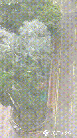 640.gif