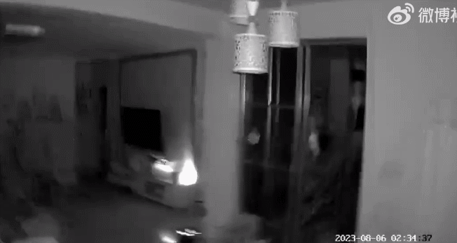 640 (2).gif
