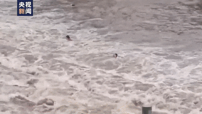 640.gif