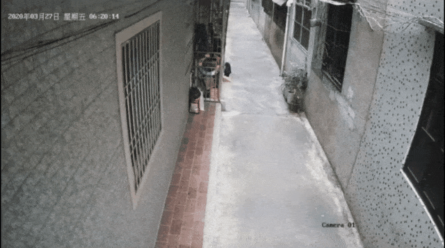 640 (1).gif
