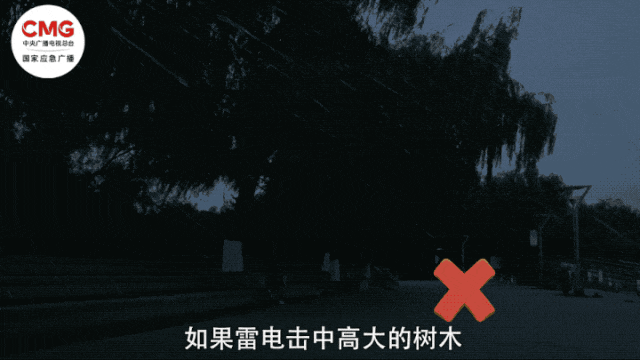 b15629c3e5c30b2f818eb349b92a734b.jpg
