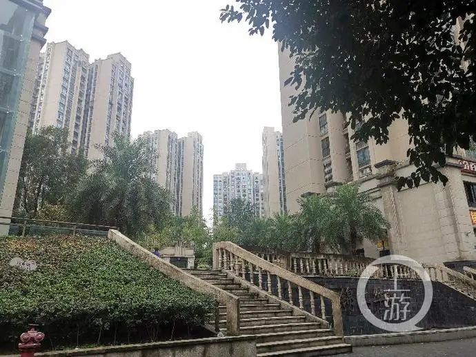 痛!一个2岁一个5岁!俩幼童从15楼坠亡,爸爸就在家(图4) 痛!一个2岁一个5岁!俩幼童从15楼坠亡,爸爸就在家(图4)